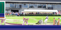 Millstreet International Horse Show 11th-16th August 2015 Allenweld Exhibiting at Millstreet Horse Show