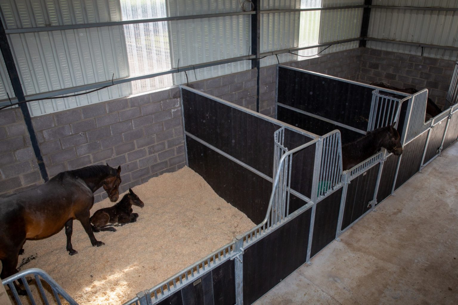 Internal Stables Allenweld Quality Equine and Agri Products